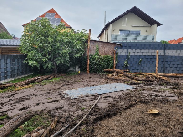 Baumstämme zum Schälen